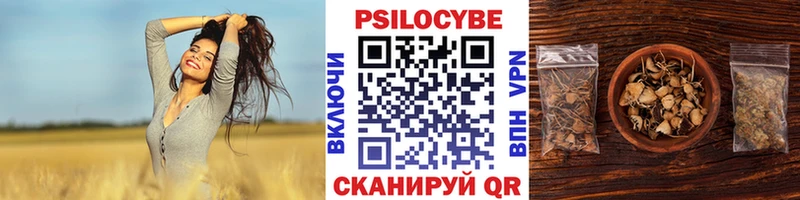 Купить закладки  Тюмень  Псилоцибиновые грибы мухоморы 